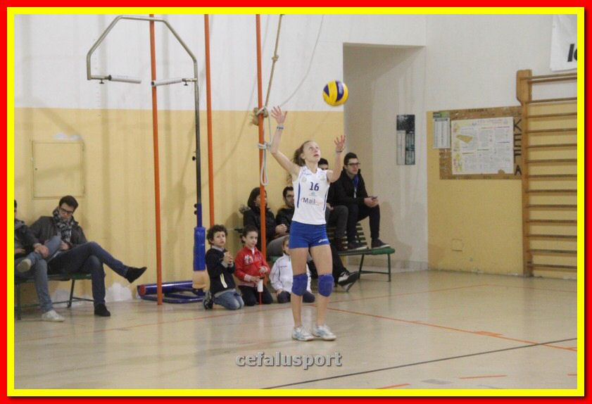 140305 Primula 068_tn.jpg